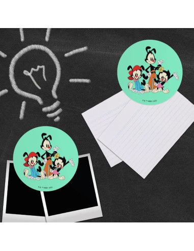 Conjunto de 4 Imanes de Vinilo Animaniacs - 6.4cm Redondos