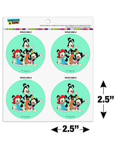 Conjunto de 4 Imanes de Vinilo Animaniacs - 6.4cm Redondos