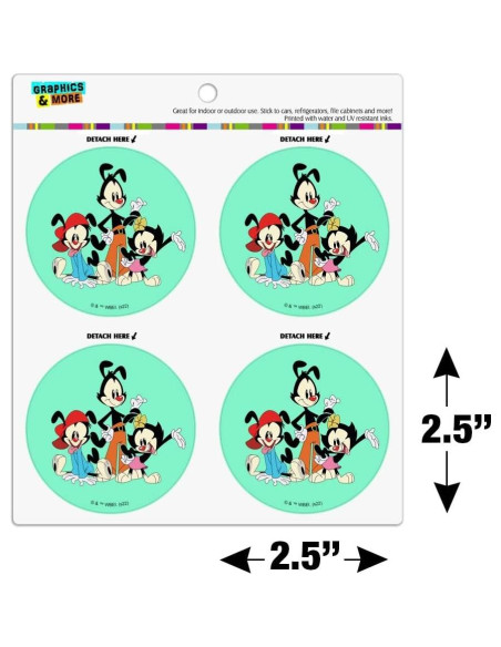 Conjunto de 4 Imanes de Vinilo Animaniacs - 6.4cm Redondos