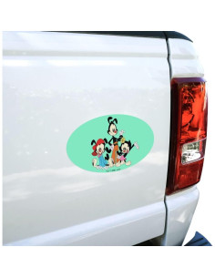 Imán Ovalado de Vinilo Animaniacs Graphics & More 17.8x10.2cm 2