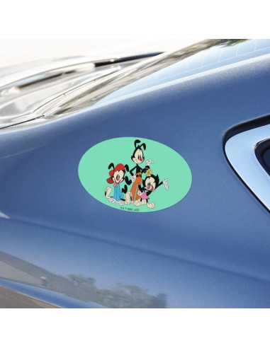 Imán Ovalado de Vinilo Animaniacs Graphics & More 17.8x10.2cm