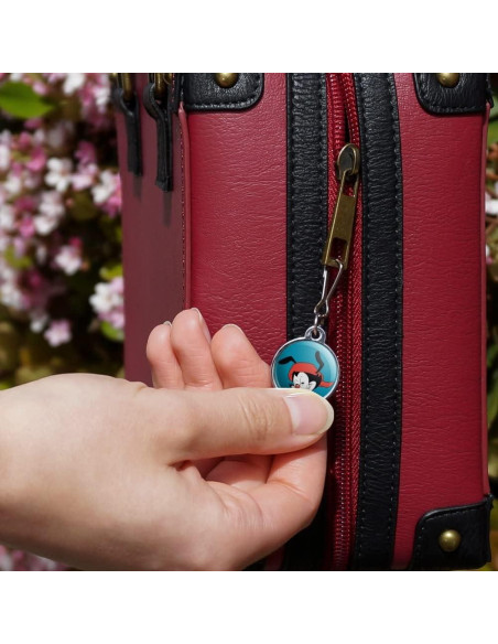 Charm de Zipper Animaniacs Wakko - Graphics & More