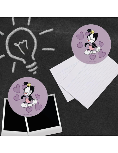 Conjunto de 4 Imanes de Vinilo Animaniacs - 6.4cm - Multicolor