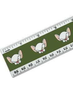 Regla de Plástico 30 cm Pinky y Cerebro - Oficial 2