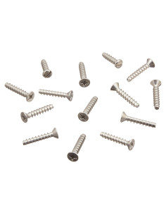 Juego de Tornillos Autoperforantes Hayward SPX1084Z4AM 3.18 cm