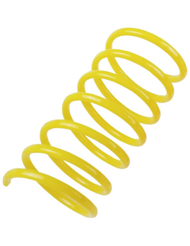 Juguetes para Gatos TAMU - 60 Resortes Coloridos 5.08 cm