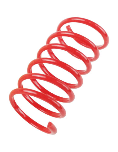 Juguetes para Gatos TAMU - 60 Resortes Coloridos 5.08 cm