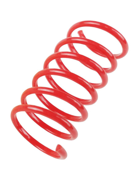 Juguetes para Gatos TAMU - 60 Resortes Coloridos 5.08 cm