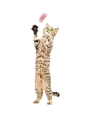 Juguetes para Gatos TAMU - 60 Resortes Coloridos 5.08 cm