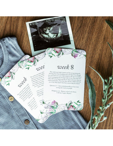 Tarjetas de Hitos de Embarazo Duncan & Stone - 20 Semanas