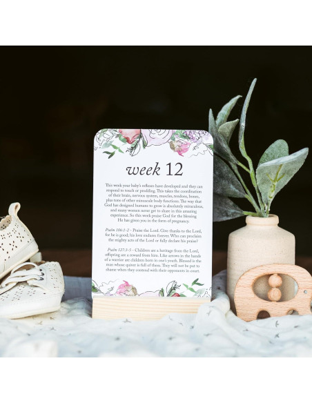 Tarjetas de Hitos de Embarazo Duncan & Stone - 20 Semanas