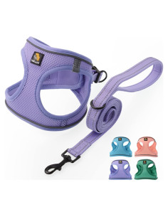 Arnés para Perros Pequeños Bella & Pal XS Lavanda Transpirable