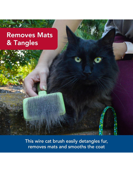 Cepillo Autolimpiante para Gatos Coastal Pet W419 - 22.23 cm