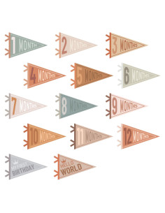 Banderas de Hito Mensual para Bebé 14 Pcs Fieltro Colores Variados