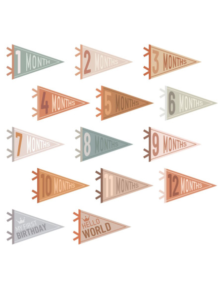 Banderas de Hito Mensual para Bebé 14 Pcs Fieltro Colores Variados