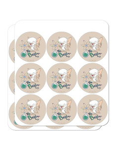 Planificador de Calendario Stickers Pinky y el Cerebro 18 Piezas