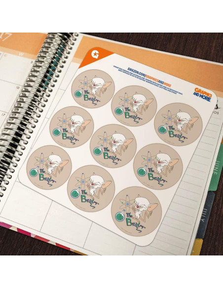 Planificador de Calendario Stickers Pinky y el Cerebro 18 Piezas