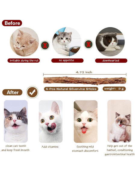 Juguete de Varita para Gatos Fashion&cool - 3 Piezas 40.64 cm