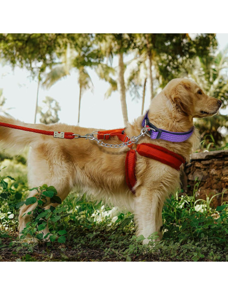 Clip de Seguridad para Perro HONGSAGE - Acero Inoxidable 20.32 cm