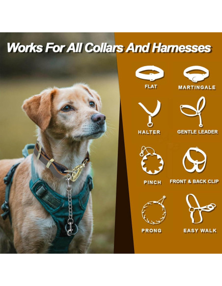 Clip de Seguridad para Perro HONGSAGE - Acero Inoxidable 20.32 cm