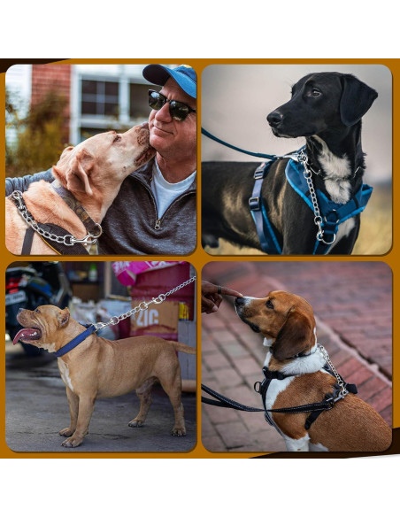 Clip de Seguridad para Perro HONGSAGE - Acero Inoxidable 20.32 cm