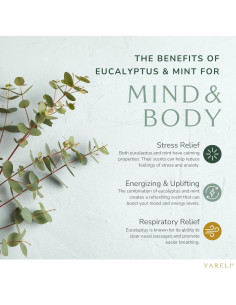 Vaporizadores de Ducha Yareli Eucalipto Menta - Paquete de 12 2