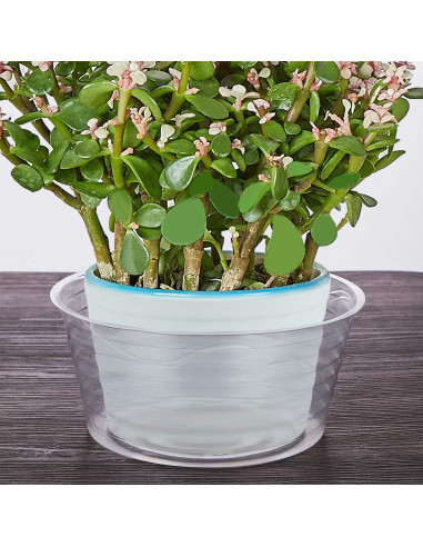 Plato de Goteo Idyllize 10 Piezas 10.4 cm Plástico Claro