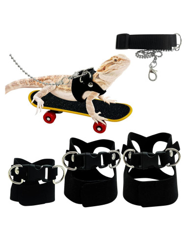 Conjunto Arnés y Correa para Dragón Barbudo PINVNBY - 3 Tamaños