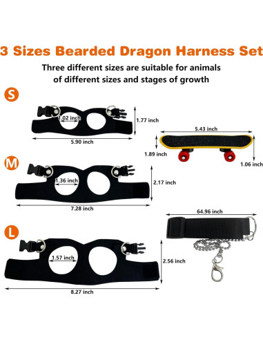 Conjunto Arnés y Correa para Dragón Barbudo PINVNBY - 3 Tamaños