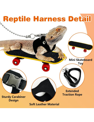 Conjunto Arnés y Correa para Dragón Barbudo PINVNBY - 3 Tamaños