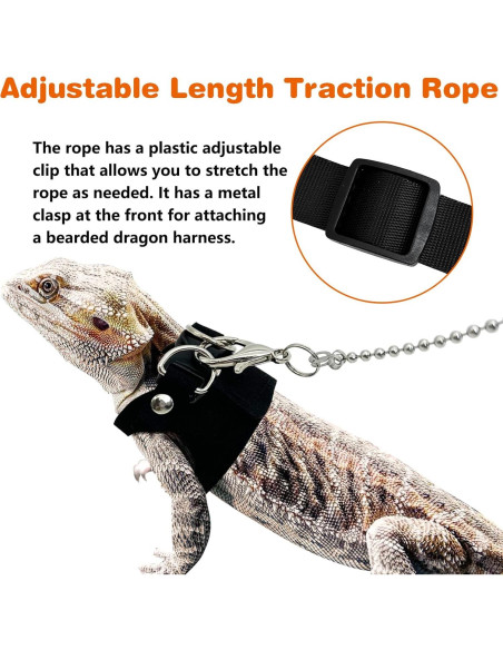 Conjunto Arnés y Correa para Dragón Barbudo PINVNBY - 3 Tamaños