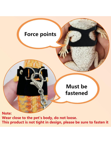 Conjunto Arnés y Correa para Dragón Barbudo PINVNBY - 3 Tamaños