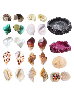 Paquete de 13 Conchas de Cangrejo Ermitaño SINKOO + 2 Tazones