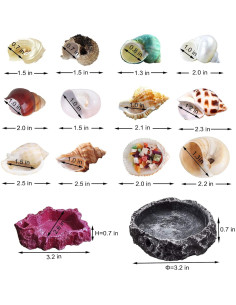 Paquete de 13 Conchas de Cangrejo Ermitaño SINKOO + 2 Tazones 2