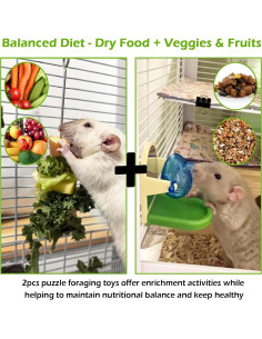 Juego de Juguetes de Enriquecimiento Jevnd para Ratas 2 Piezas 2