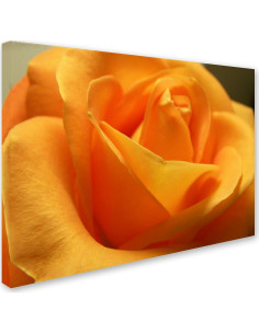 Obra de arte en lienzo floral Monica Fleet 35.6x48.3 cm 2