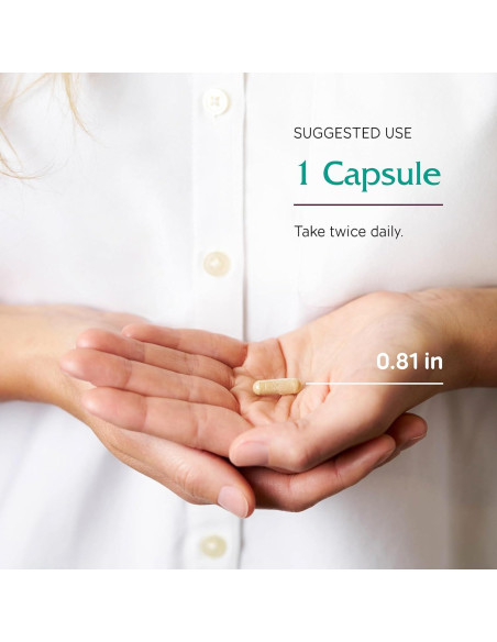 Castaño de Indias Vitanica 60 Cápsulas Veganas - Circulación