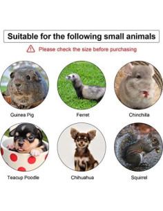 Conjunto Arnés y Correa Weewooday para Mascotas Pequeñas 4 Piezas 2