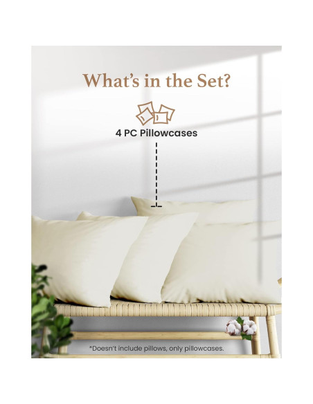 Juego de 4 Fundas de Almohada Queen Marfil 800 TC Algodón Egipcio