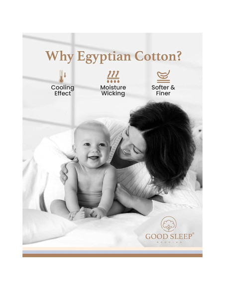 Juego de 4 Fundas de Almohada Queen Marfil 800 TC Algodón Egipcio