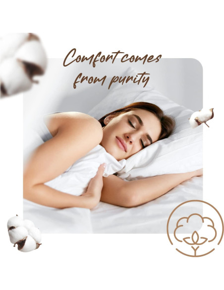 Juego de 4 Fundas de Almohada Queen Marfil 800 TC Algodón Egipcio