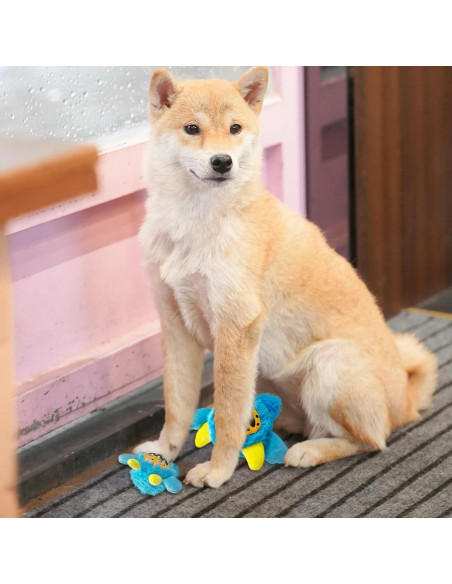 Pelota de Juguete para Perro Best Pet Supplies Azul Pequeño