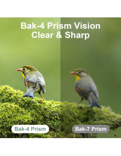 Binoculares Dranbol 12X25 Compactos para Observación 2