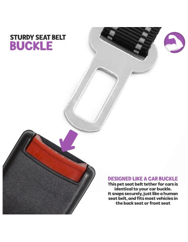 Cinturón de Seguridad para Perros Poodle Pet Grande Ajustable