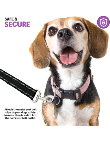 Cinturón de Seguridad para Perros Poodle Pet Grande Ajustable