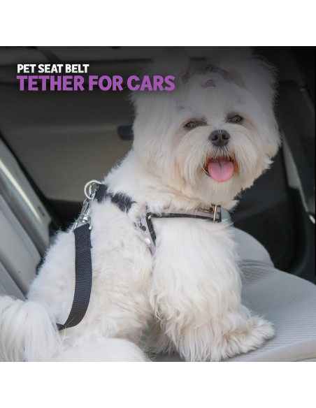 Cinturón de Seguridad para Perros Poodle Pet Grande Ajustable Cinturón de Seguridad para Perros Poodle Pet Grande Ajustable