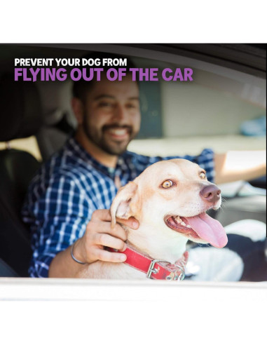 Cinturón de Seguridad para Perros Poodle Pet Grande Ajustable