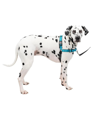 Arnés PetSafe Easy Walk Deluxe Grande Océano Sin Tirones