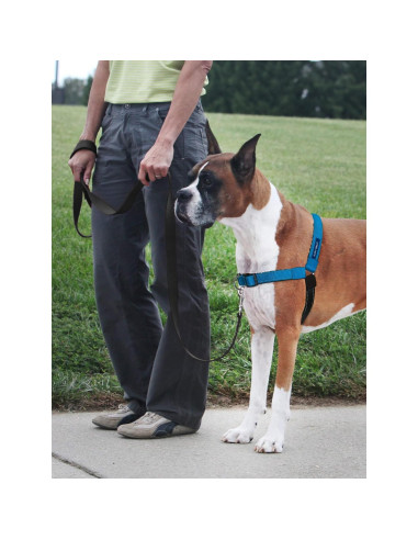 Arnés PetSafe Easy Walk Deluxe Grande Océano Sin Tirones