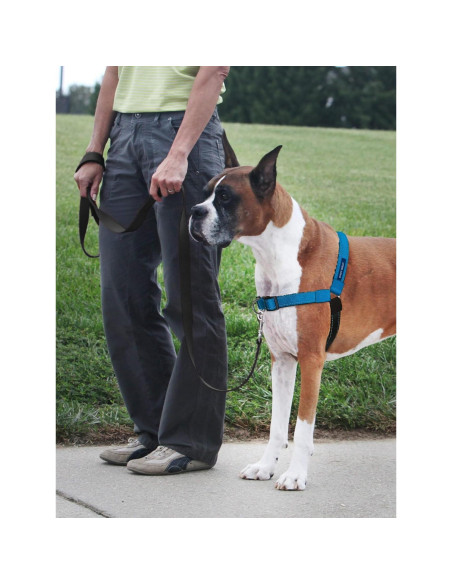 Arnés PetSafe Easy Walk Deluxe Grande Océano Sin Tirones Arnés PetSafe Easy Walk Deluxe Grande Océano Sin Tirones